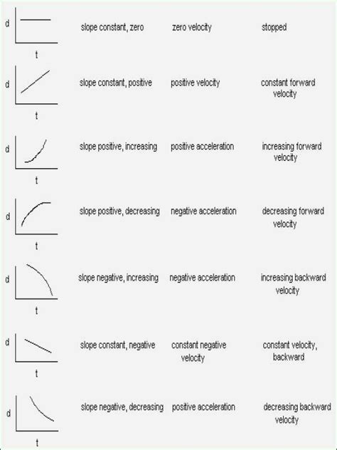 50 Motion Graphs Physics Worksheet – Chessmuseum Template Library