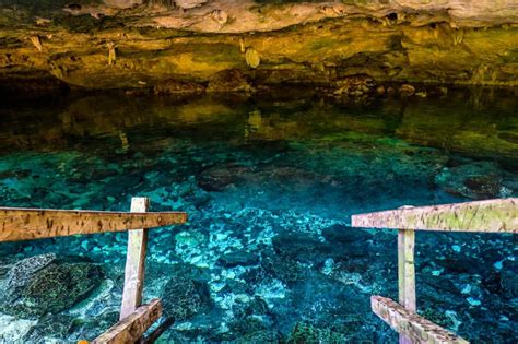 Snorkeling in Cenote Dos Ojos: Exploring an Underwater World » Lavi was ...