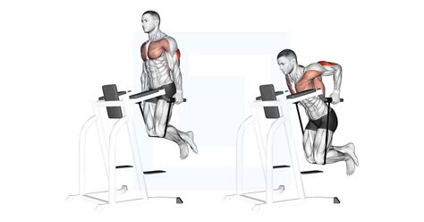 Band Assisted Dip - Guide, Benefits, and Form