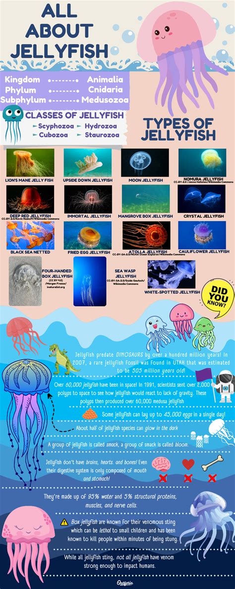 19+ Why Do Jellyfish Glow - RayleenEiva