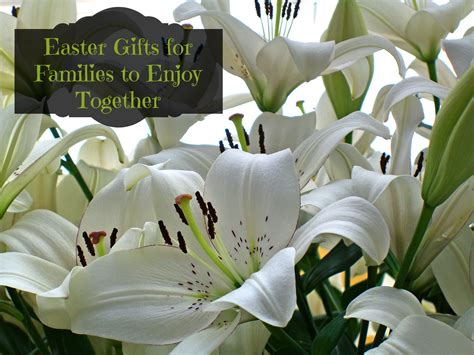 Easter Gift Ideas for Families to Enjoy Together