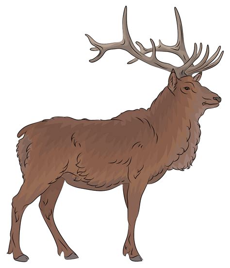 Free Elk Cliparts, Download Free Elk Cliparts png images, Free ClipArts ...