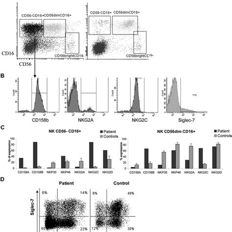 Phenotypic characteristics of NK cell subsets. A, Dot plots show NK ...