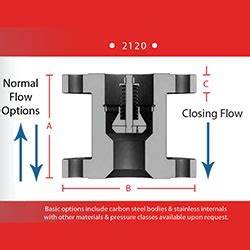 Excess Flow Valves | Total Valve Systems