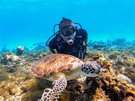 San Andrés, Meaningful Diving | Colombia Travel