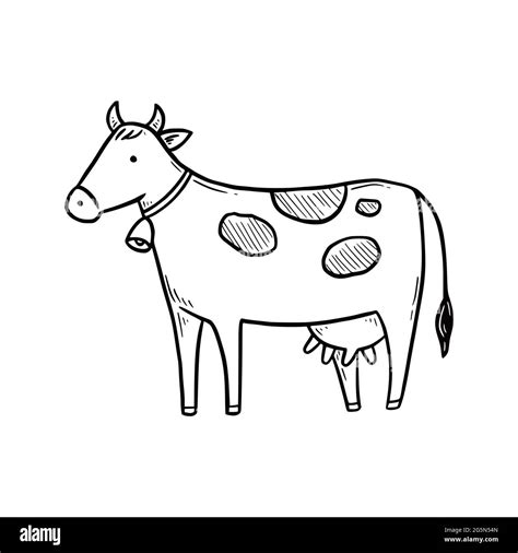 Hand drawn cute farm cow. Doodle sketch style. Drawing line simple cow ...