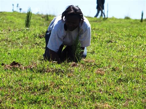 Kenya Forests: The 2011 National Tree Planting Season Launched