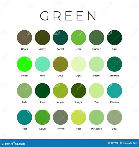 Green Color Shades Swatches Palette with Names Stock Vector ...