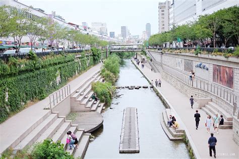 Dongdaemun Night Market - Shop Around the Clock - Seoul Guide