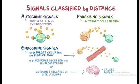 SOLUTION: Cell signaling pathways - Studypool