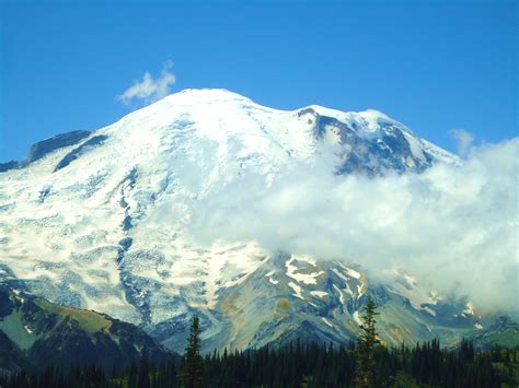 Mount Rainier at Sunrise Point | Sunrise, Travel, Rainier