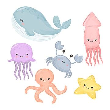 Sea Creatures Clipart Images | Free Download | PNG Transparent Background - Pngtree