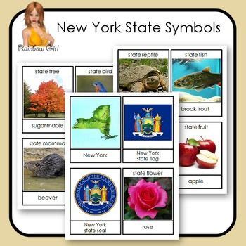 New York State Symbols | State symbols, New york state, States project