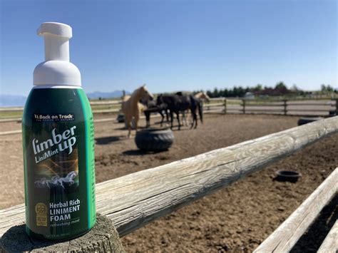 When, Why, and How to Use Liniment on Horses - Horse Rookie