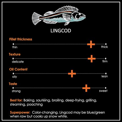 Lingcod Fish Feature — Positively Groundfish