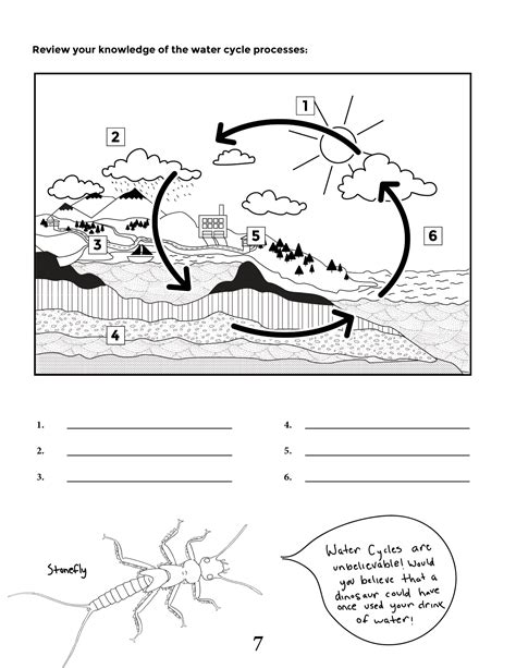 View Diagram Water Cycle Worksheet Gif | Catalogue of Diagrams