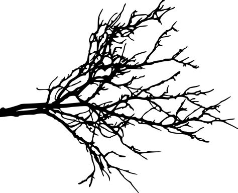 15 Tree Branch Silhouettes (PNG Transparent) | OnlyGFX.com