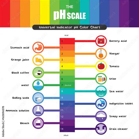 The pH scale Universal Indicator pH Color Chart diagram Stock Vector ...