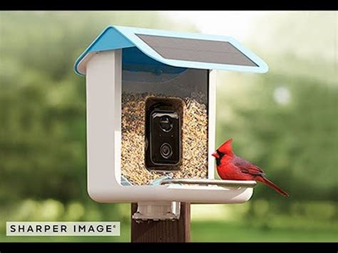 Video Camera Bird Feeder by Sharper Image @ SharperImage.com