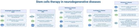 The use of stem cells in the treatment of neurodegenerative diseases ...