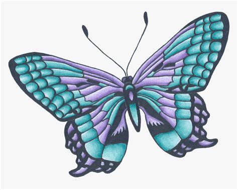 Colorful Butterfly Drawing