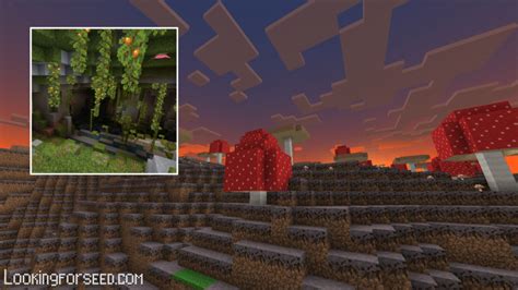 Mushroom Island Seeds for Minecraft Bedrock | Lookingforseed.com