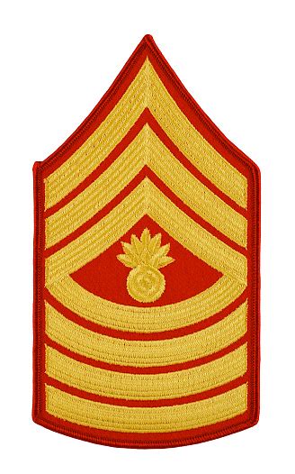 Marine Master Gunnery Sergeant Insignia Stock Photo - Download Image ...