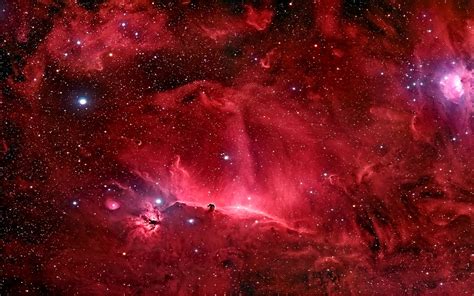 Red galaxy illustration, space, nebula, stars, Horsehead Nebula HD ...