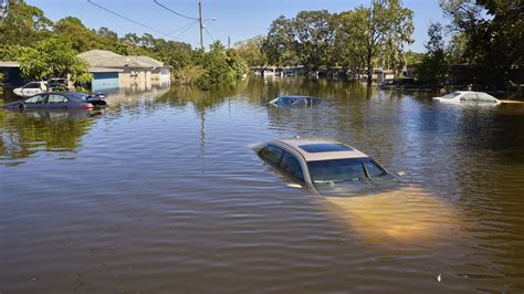 Florida Flooding 2024 - Dani Millie