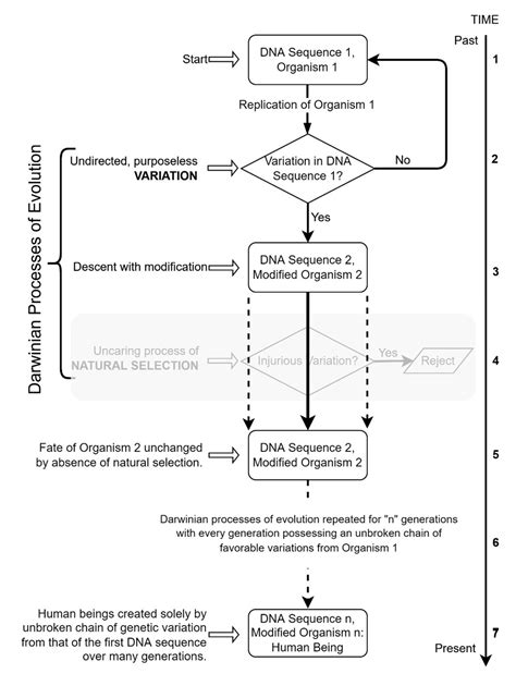 The Natural Selection Paradox – The Natural Selection Paradox