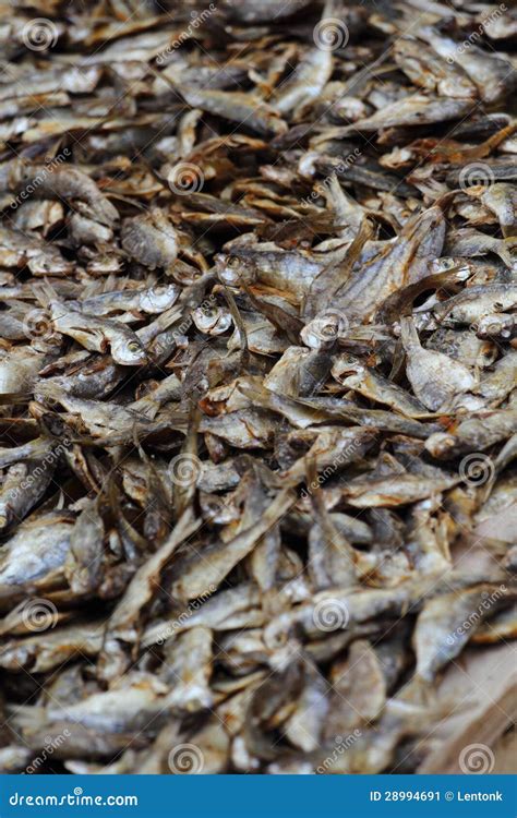 Dried Fish in market stock image. Image of market, merchandise - 28994691