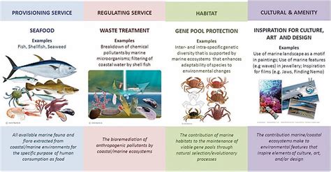 Ecosystem Examples