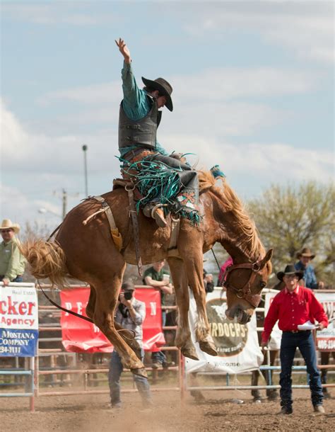 Bucking Horse Pictures | Download Free Images on Unsplash