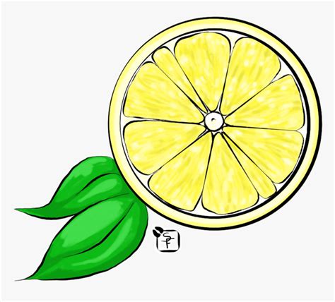 Transparent Lemon Slices Clipart - Lemon Drawing, HD Png Download - kindpng