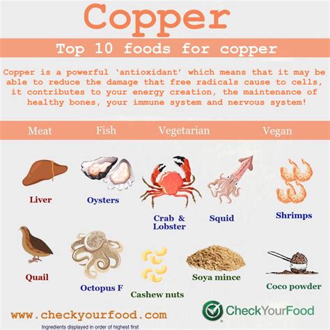 Top 10 Foods For Copper