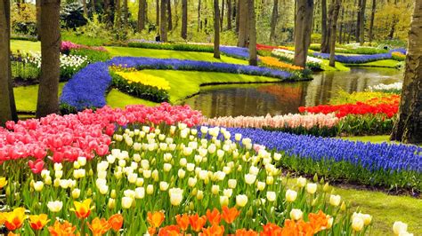 Keukenhof the most beautiful spring garden ~ travell and culture