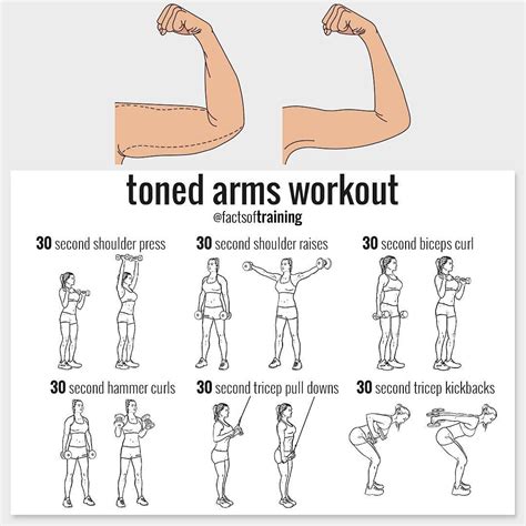 Toned Arms Workout : r/workouts