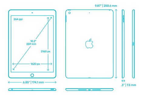 Apple iPad (9th Gen) Dimensions & Drawings | Dimensions.com