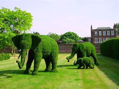 25 Examples of Amazing Topiary Art and Designs