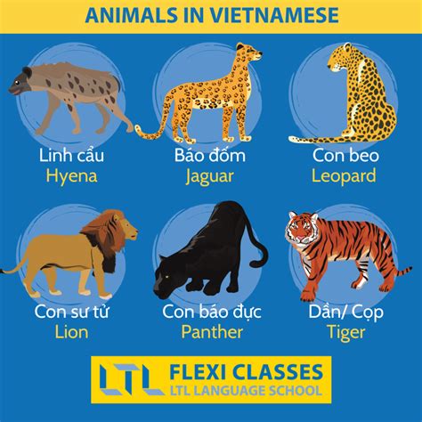 170+ Animals in Vietnamese 🦁 // Ultimate Vocab Guide & QUIZ