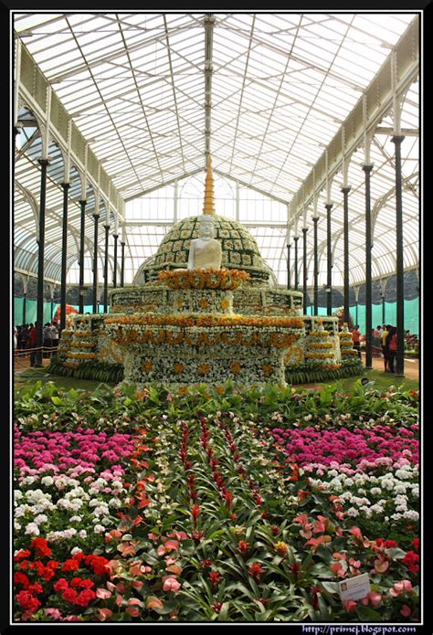 Prime Photos: Lalbagh Flower Show January 2012