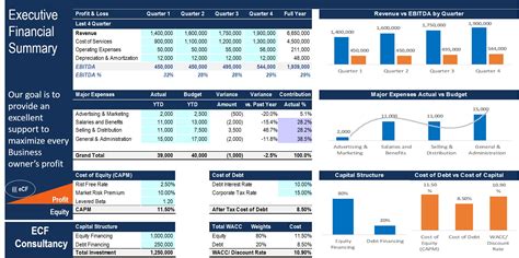 Executive Financial Summary Excel with Power Point Template - Eloquens