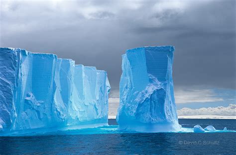 Antarctica Photo Gallery