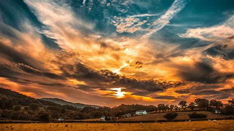 Sunset Sky Clouds Field Trees Horizon 4K HD Wallpapers | HD Wallpapers ...