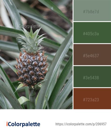 24 Pineapple Color Palette ideas in 2024 | iColorpalette