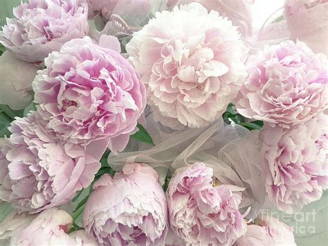 Romantic Shabby Chic Pastel Pink Peonies Bouquet - Romantic Pink Peony ...