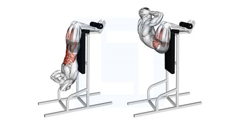 Vertical Sit-up - Guide, Benefits, and Form