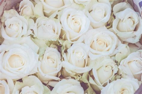 Premium Photo | White roses bouquet background