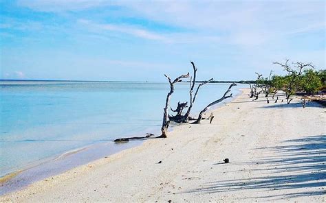 THE 15 BEST Things to Do in Holbox Island - 2021 (with Photos ...