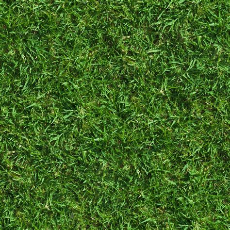 HIGH RESOLUTION TEXTURES: Green lush grass texture